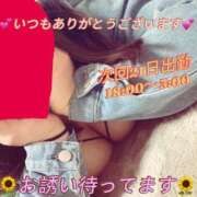 ヒメ日記 2025/01/17 01:53 投稿 ちぃ 大高・大府市・東海市ちゃんこ