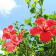 ヒメ日記 2025/02/01 18:13 投稿 ちぃ 大高・大府市・東海市ちゃんこ