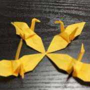 ヒメ日記 2025/03/17 21:03 投稿 ちぃ 大高・大府市・東海市ちゃんこ