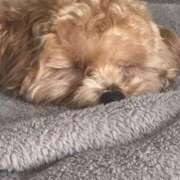 ヒメ日記 2025/03/18 01:13 投稿 ちぃ 大高・大府市・東海市ちゃんこ