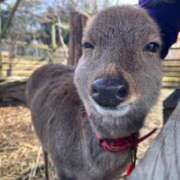 ヒメ日記 2025/03/23 07:15 投稿 ちぃ 大高・大府市・東海市ちゃんこ