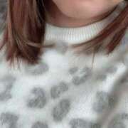 ヒメ日記 2025/03/31 17:03 投稿 ちぃ 大高・大府市・東海市ちゃんこ