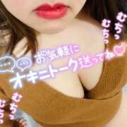 ヒメ日記 2025/04/06 17:03 投稿 ちぃ 大高・大府市・東海市ちゃんこ