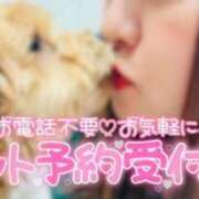 ヒメ日記 2025/04/13 08:13 投稿 ちぃ 大高・大府市・東海市ちゃんこ