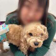 ヒメ日記 2025/04/26 16:43 投稿 ちぃ 大高・大府市・東海市ちゃんこ