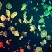 ヒメ日記 2025/05/06 08:03 投稿 ちぃ 大高・大府市・東海市ちゃんこ