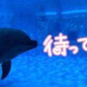 ヒメ日記 2025/07/05 14:53 投稿 ちぃ 大高・大府市・東海市ちゃんこ
