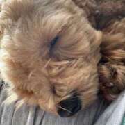 ヒメ日記 2025/07/18 07:33 投稿 ちぃ 大高・大府市・東海市ちゃんこ