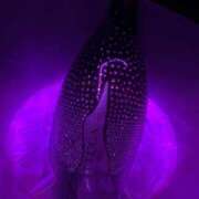 えま ♡♡♡ X-PARTY