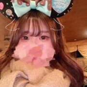 ヒメ日記 2025/04/01 18:59 投稿 せつな 新宿本店 ぽちゃカワ女子専門店