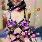 ヒメ日記 2025/02/21 15:40 投稿 潮福ちえ 五十路マダムエクスプレス豊橋店（カサブランカグループ）