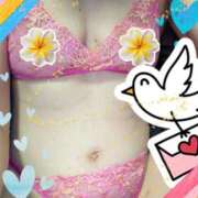 ヒメ日記 2025/04/09 12:52 投稿 潮福ちえ 五十路マダムエクスプレス豊橋店（カサブランカグループ）