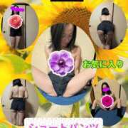 ヒメ日記 2025/04/11 19:17 投稿 潮福ちえ 五十路マダムエクスプレス豊橋店（カサブランカグループ）