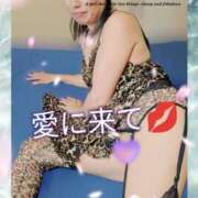 ヒメ日記 2025/06/01 17:04 投稿 潮福ちえ 五十路マダムエクスプレス豊橋店（カサブランカグループ）