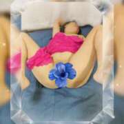 ヒメ日記 2025/11/13 00:14 投稿 潮福ちえ 五十路マダムエクスプレス豊橋店（カサブランカグループ）