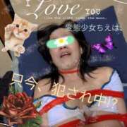 ヒメ日記 2025/11/15 01:16 投稿 潮福ちえ 五十路マダムエクスプレス豊橋店（カサブランカグループ）