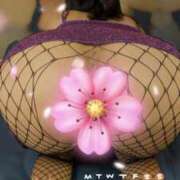 ヒメ日記 2026/02/06 21:12 投稿 潮福ちえ 五十路マダムエクスプレス豊橋店（カサブランカグループ）