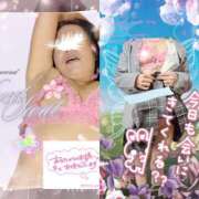 ヒメ日記 2026/03/14 13:00 投稿 潮福ちえ 五十路マダムエクスプレス豊橋店（カサブランカグループ）