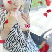 ヒメ日記 2026/04/05 04:02 投稿 潮福ちえ 五十路マダムエクスプレス豊橋店（カサブランカグループ）