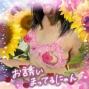 ヒメ日記 2026/05/26 13:28 投稿 潮福ちえ 五十路マダムエクスプレス豊橋店（カサブランカグループ）