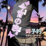 ヒメ日記 2026/06/20 10:06 投稿 潮福ちえ 五十路マダムエクスプレス豊橋店（カサブランカグループ）