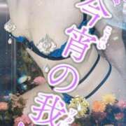 ヒメ日記 2026/07/04 06:20 投稿 潮福ちえ 五十路マダムエクスプレス豊橋店（カサブランカグループ）