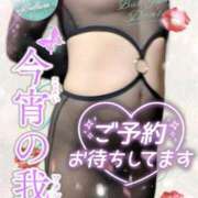 ヒメ日記 2026/07/09 06:20 投稿 潮福ちえ 五十路マダムエクスプレス豊橋店（カサブランカグループ）