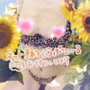 ヒメ日記 2026/08/29 09:50 投稿 潮福ちえ 五十路マダムエクスプレス豊橋店（カサブランカグループ）