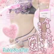ヒメ日記 2026/09/11 11:38 投稿 潮福ちえ 五十路マダムエクスプレス豊橋店（カサブランカグループ）