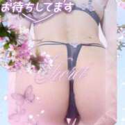 ヒメ日記 2026/09/11 13:42 投稿 潮福ちえ 五十路マダムエクスプレス豊橋店（カサブランカグループ）