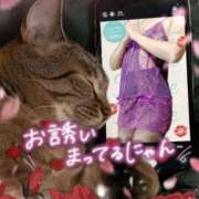 ヒメ日記 2026/09/30 13:02 投稿 潮福ちえ 五十路マダムエクスプレス豊橋店（カサブランカグループ）