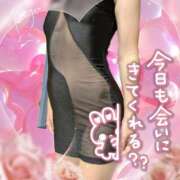 ヒメ日記 2026/10/04 12:00 投稿 潮福ちえ 五十路マダムエクスプレス豊橋店（カサブランカグループ）