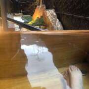 ヒメ日記 2026/02/20 08:08 投稿 めいな 奥鉄オクテツ神奈川店（デリヘル市場グループ）