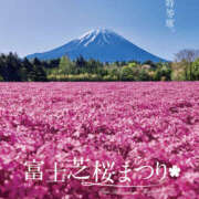 ヒメ日記 2026/04/17 08:05 投稿 めいな 奥鉄オクテツ神奈川店（デリヘル市場グループ）