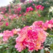 ヒメ日記 2025/06/06 09:39 投稿 みくる チェックイン素人専門大人女子