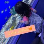 ヒメ日記 2025/08/24 12:07 投稿 ゆめの club さくら日本橋店