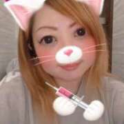 ゆめの ゆめの（clubさくら日本橋店） club さくら日本橋店