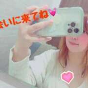 ゆめの ゆめの（clubさくら日本橋店） 奥様さくら日本橋店