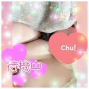 ヒメ日記 2025/05/29 13:32 投稿 もなみ clubさくら京橋店