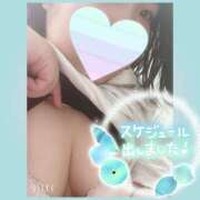 ヒメ日記 2025/06/15 11:02 投稿 もなみ clubさくら京橋店