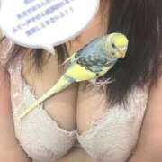 ヒメ日記 2025/06/05 17:39 投稿 白間あず 池袋パラダイス