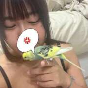 ヒメ日記 2025/10/23 22:49 投稿 白間あず 池袋パラダイス