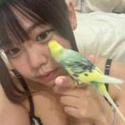 ヒメ日記 2025/10/30 06:09 投稿 白間あず 池袋パラダイス