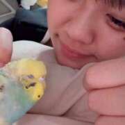 白間あず お礼とお知らせ 池袋パラダイス