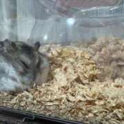 ヒメ日記 2025/10/22 20:15 投稿 さらん One More奥様　横浜関内店