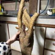 ヒメ日記 2025/12/16 15:21 投稿 さらん One More奥様　横浜関内店