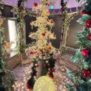 ヒメ日記 2025/12/16 23:49 投稿 さらん One More奥様　横浜関内店