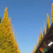 ヒメ日記 2025/11/22 23:35 投稿 ねむ ビデオDEはんど 名古屋校