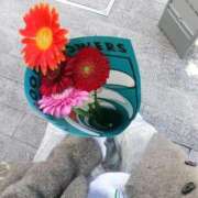 ヒメ日記 2025/11/28 19:25 投稿 ねむ ビデオDEはんど 名古屋校