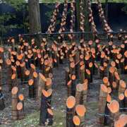 りあん ご無沙汰しております、、 池袋人妻城